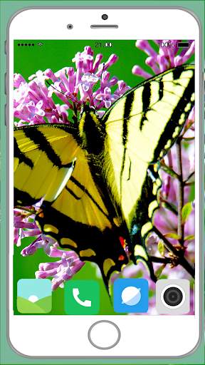 Butterfly Full HD Wallpaper screenshot 11