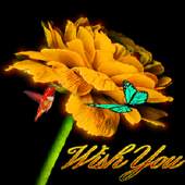 Bird Flower Live Wallpaper 2