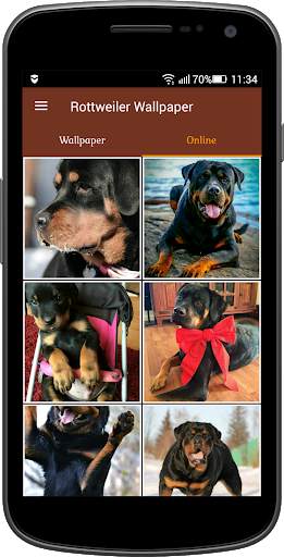 Rottweiler Wallpaper screenshot 2