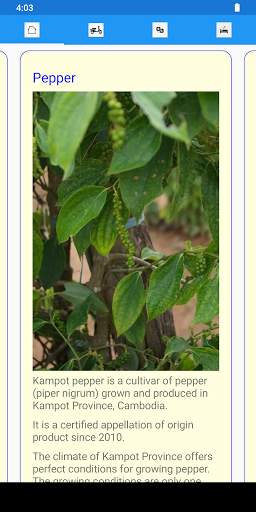 Kampot Travel Guide screenshot 5