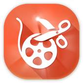 Free VivaVideo Editor Pro Tips 1.0