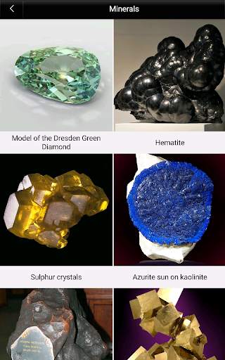 Natural History Museum screenshot 11