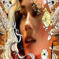 Guide Adobe Illustrator Free Draw