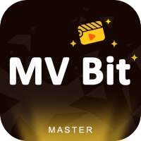 MV Bit Master, Status Video logo