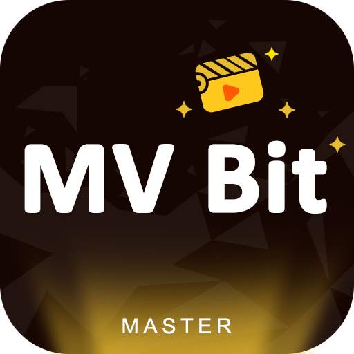 MV Bit Master, Status Video 1.0