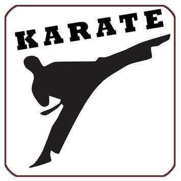 Karate Fight Training Lessons screenshot 1