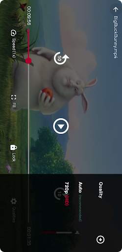 Dplayer & Downloader screenshot 2