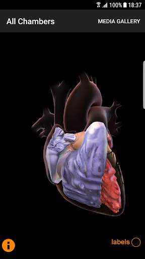 CardioSmart Heart Explorer screenshot 3