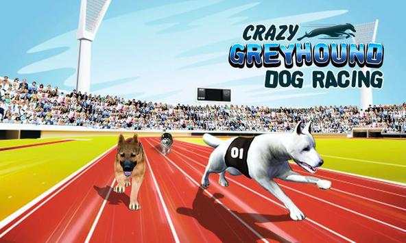 Crazy Greyhound Dog Racing screenshot 1