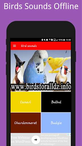 Birds Sounds ( Offline ) स्क्रीनशॉट 1