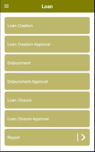 Loan Management System скриншот 3