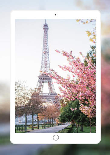 Eiffel Tower Wallpaper 9 تصوير الشاشة