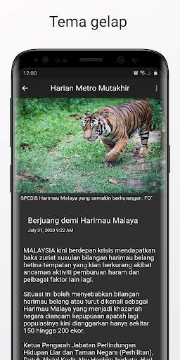 Berita Malaysia - Malay News & Newspaper screenshot 6