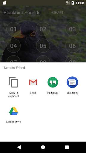 Black Bird (Animal) Calls & Singing screenshot 4
