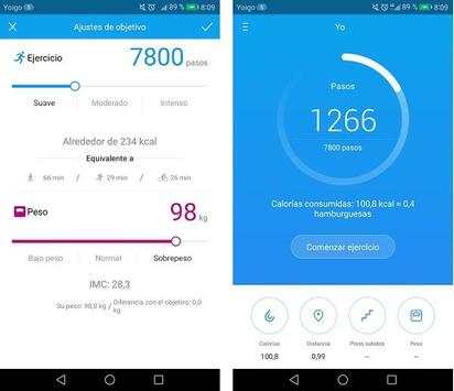Pedometer screenshot 2