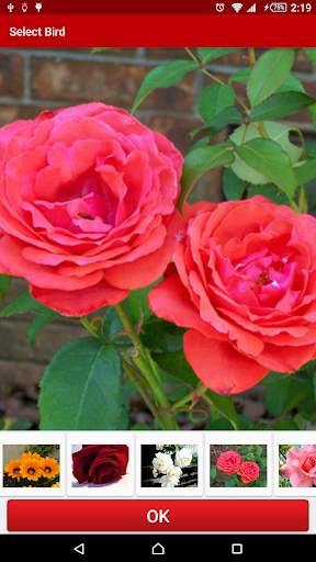 Flowers Live Wallpaper FREE screenshot 1