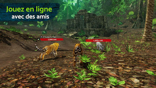 The Tiger screenshot 10