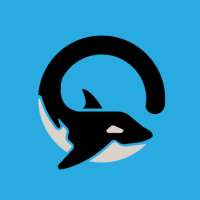 ikon Orca VPN