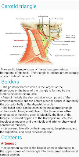 Human Anatomy E Theories screenshot 4
