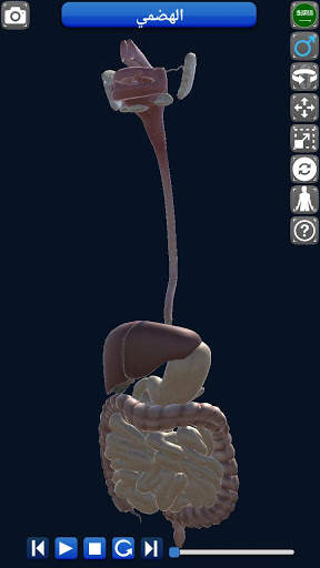 Anatomy 3D screenshot 8