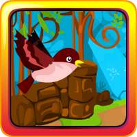 Robin Bird Escape