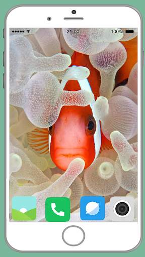 Fish Full HD Wallpaper 10 تصوير الشاشة