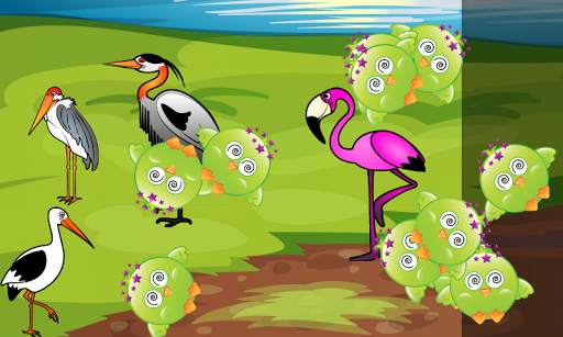 Birds Game for Toddlers Puzzle screenshot 5