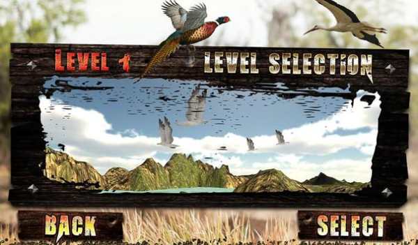 Bird Hunting Season 2015 screenshot 12