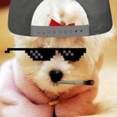 Thug Life Photo Maker 1.0