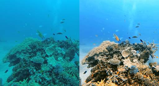 UwEdit - Underwater color restoration screenshot 1