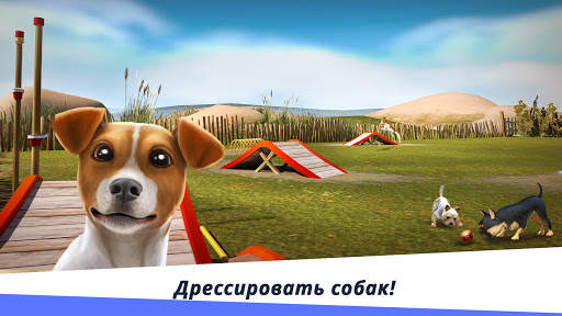 DogHotel – играйте с собаками и заботьтесь о них скриншот 6