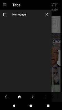 Oreo Browser screenshot 2
