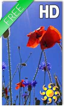 Poppies flowers LWP screenshot 1