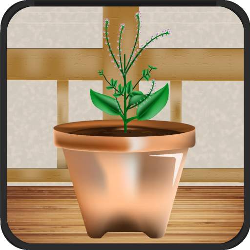 Plants Shop : App of growing and harvesting plants 2.4.0