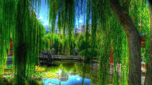 Park Wallpaper screenshot 1