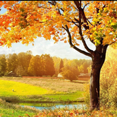 Autumn Jigsaw Puzzle Game icon
