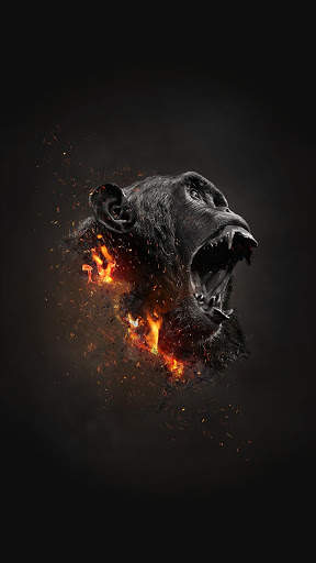 HD Wallpaper screenshot 3