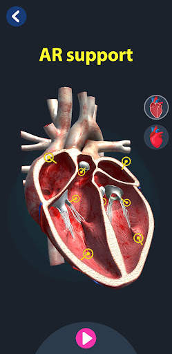 Human Anatomy 3D screenshot 3