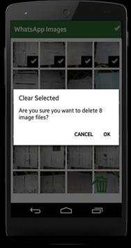 Cleaner For Whatsapp plus screenshot 3