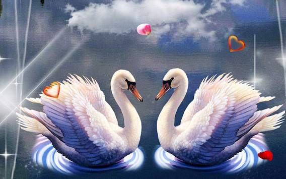 Swans Love live wallpaper screenshot 4