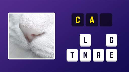 Zoom Pic: Close Up Picture Quiz 2021 скриншот 5