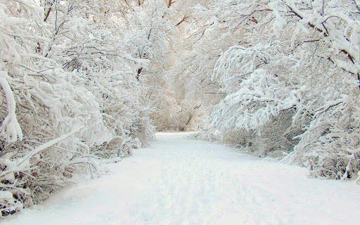 Winter Wallpapers | hd backgrounds screenshot 19