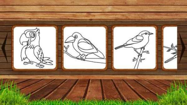 Birds Coloring screenshot 2