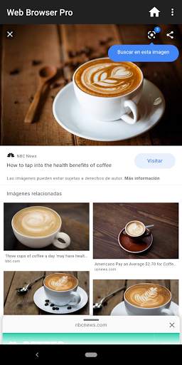 Web Browser Pro screenshot 1