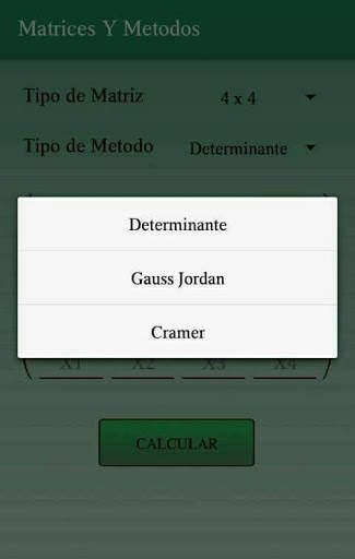 Matrices y  Metodos скриншот 2