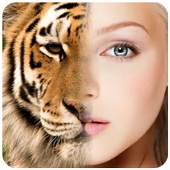 Face Blender:Funny Morph  Face 1.3.6