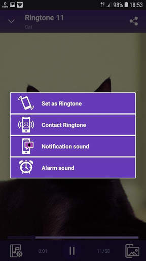 Cat - RINGTONES and WALLPAPERS screenshot 4