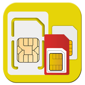 SIM Info icon