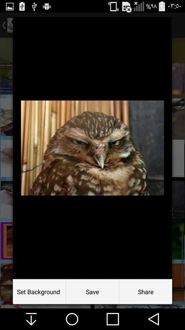 Cute and Funny Animals screenshot 6
