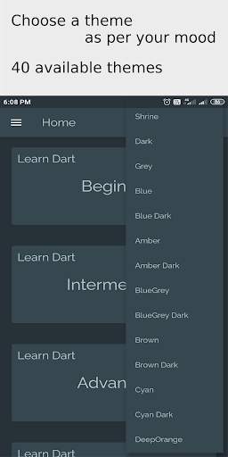 Dartism - Dart Learning App screenshot 2